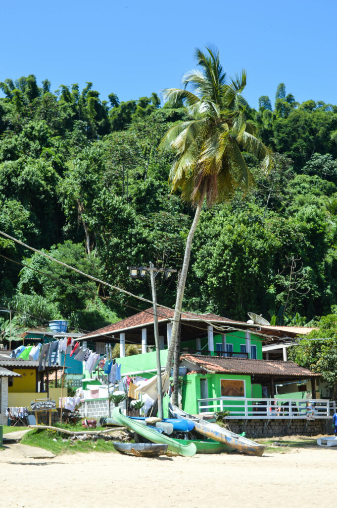 Palmier et petite maison verte sur la plage d'Araçatiba, avec la forêt derrière