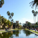 bassin avec batiments et palmiers à balboa park