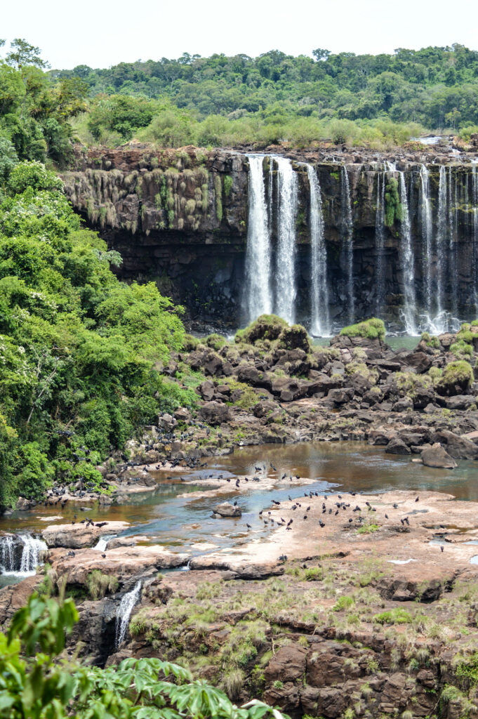 Bassin d'eau avec gros rochers sur lesquels sont posés des oiseaux