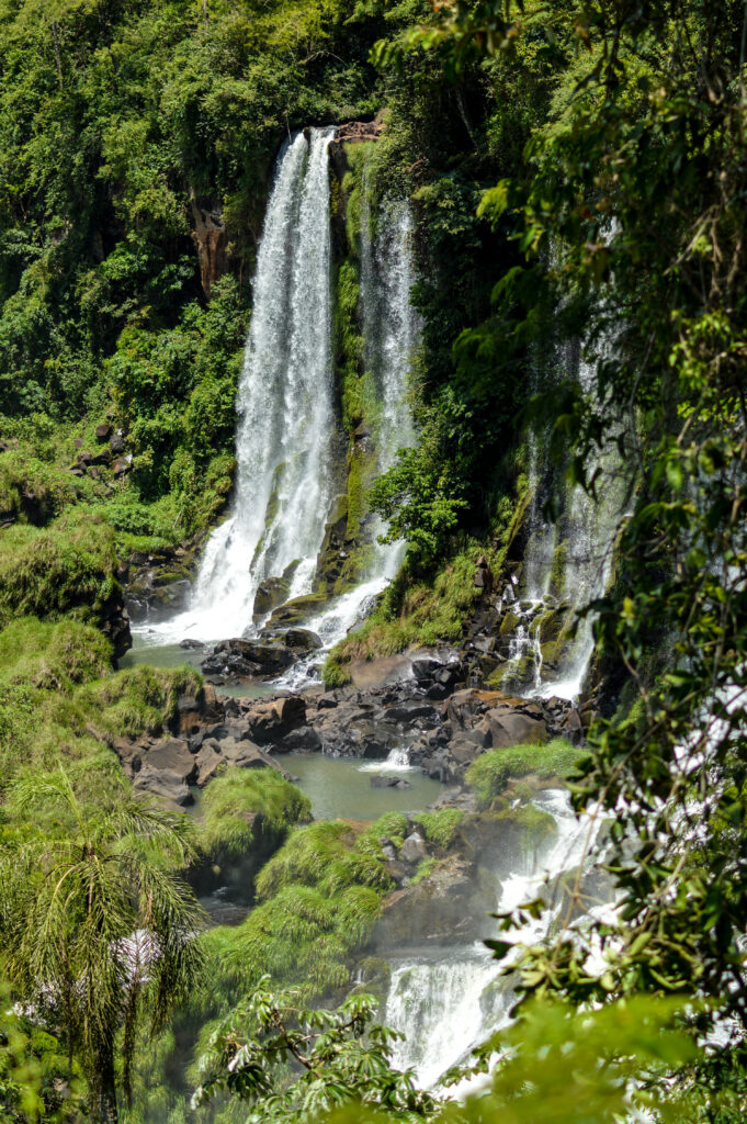 Cascades tombant de la forêt, et formant des bassins en contrebas