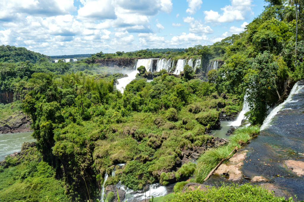 Vue sur la forêt et ses multiples cascades