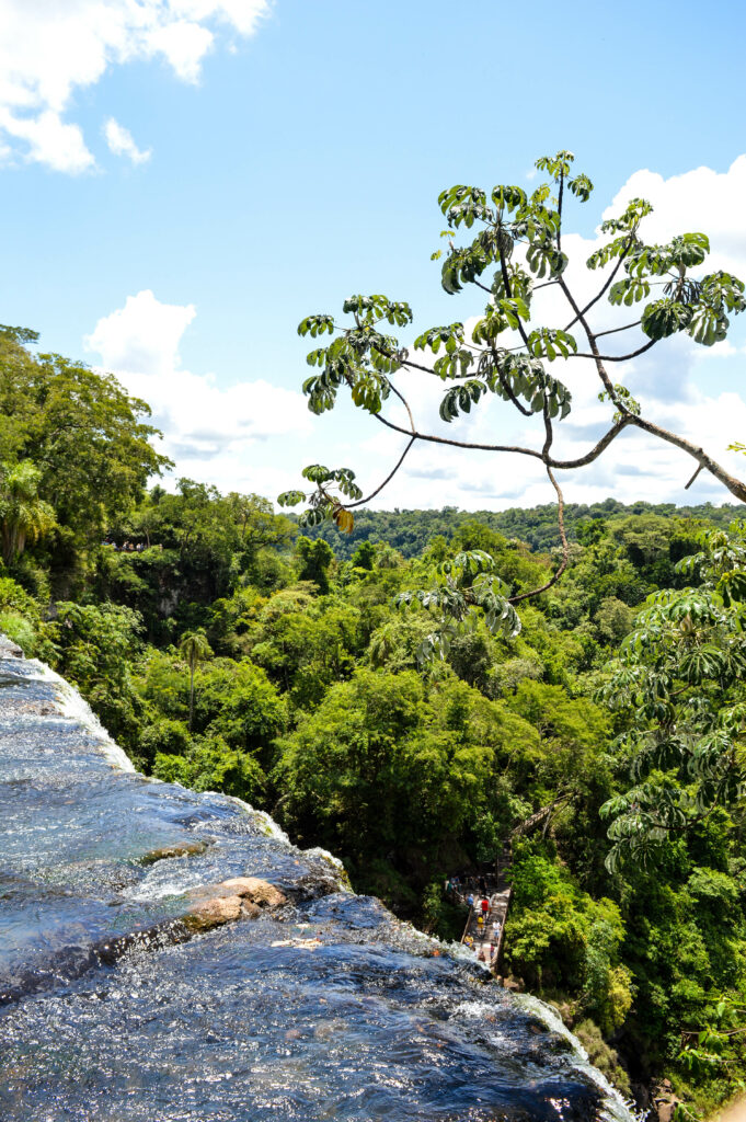 Eau paisible avant de chuter, avec vue sur la forêt tropicale 