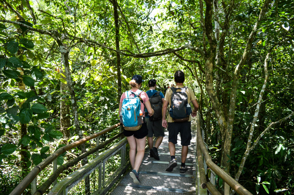 Personnes avec sac à dos, marchant sur un chemin en bois au milieu de la forêt