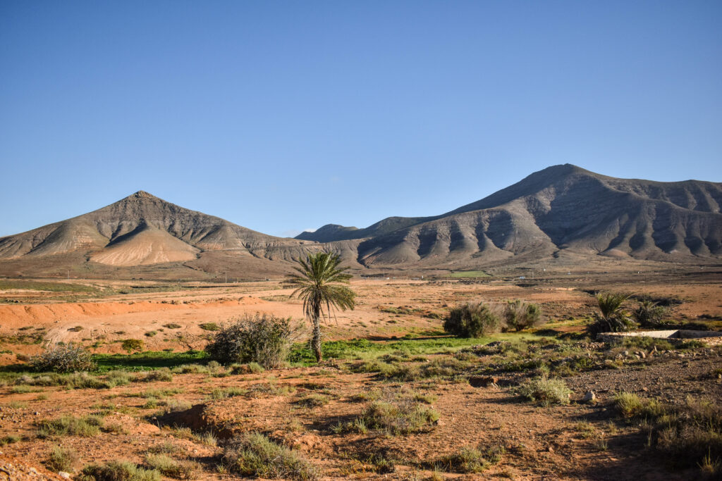 montagnes et palmiers décor orange de fuerteventura