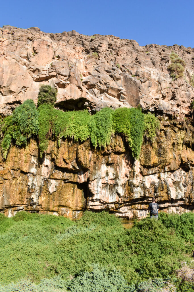 falaises et verdure