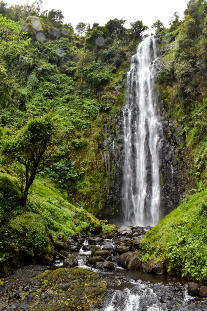 Grande cascade de Materuni, entourée de verdure