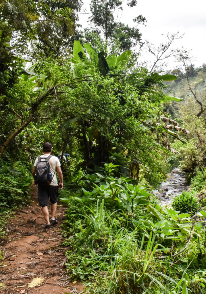 Manu de dos qui marche dans la nature luxuriante sur un chemin vers la cascade Materuni