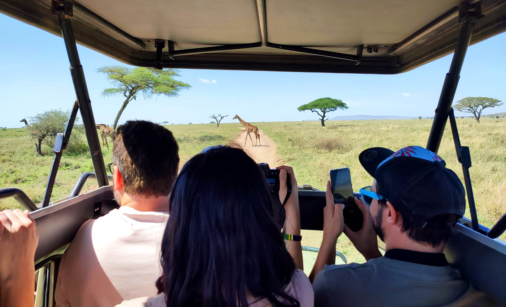 Manu, Amandine et Thomas, de dos dans le 4x4, entrain d'observer des girafes qui traversent la route dans la savane, en Tanzanie