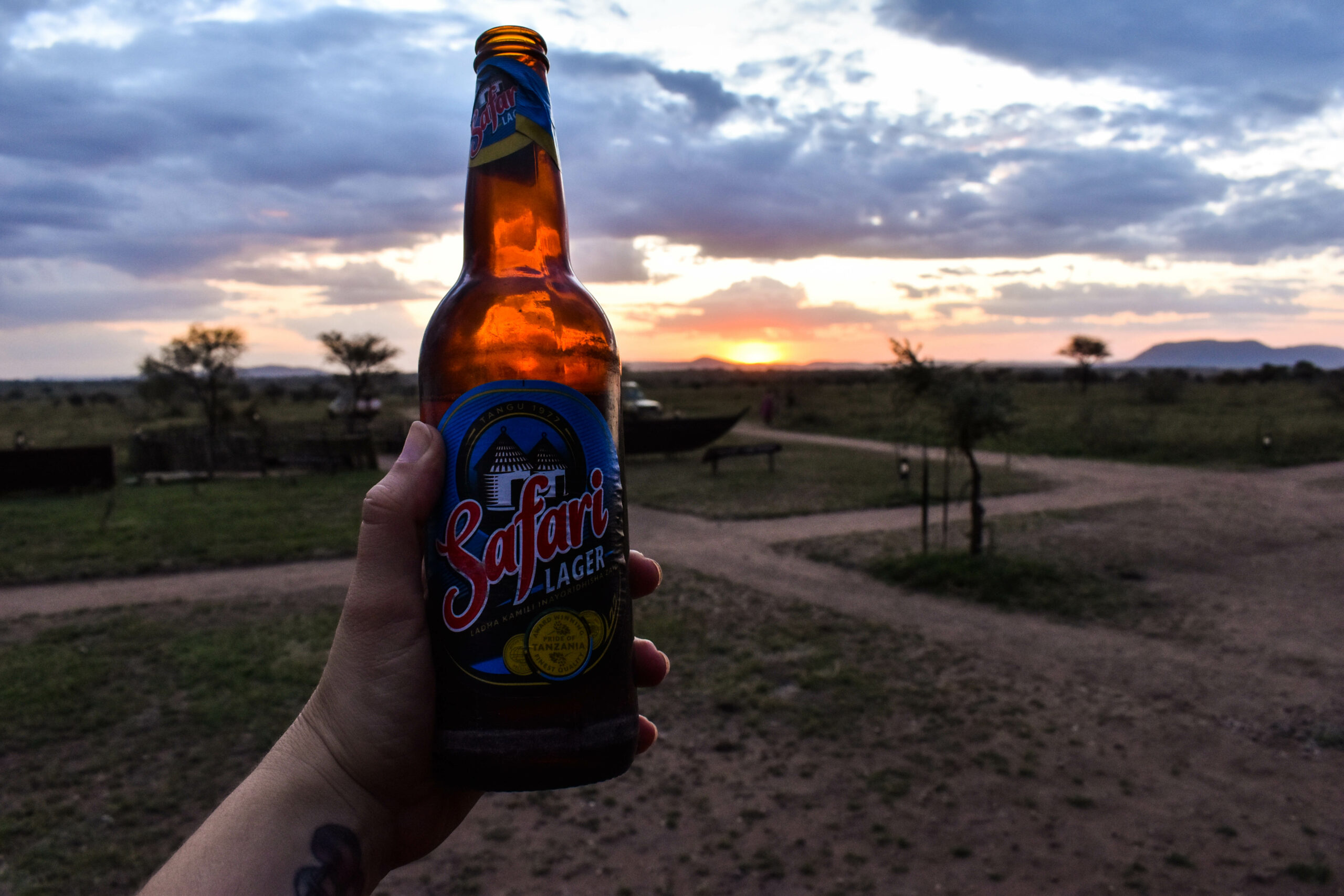 Une main en gros plan tenant une bouteille de bière Safari Lager, dans le Serengeti en Tanzanie, au moment du coucher de soleil