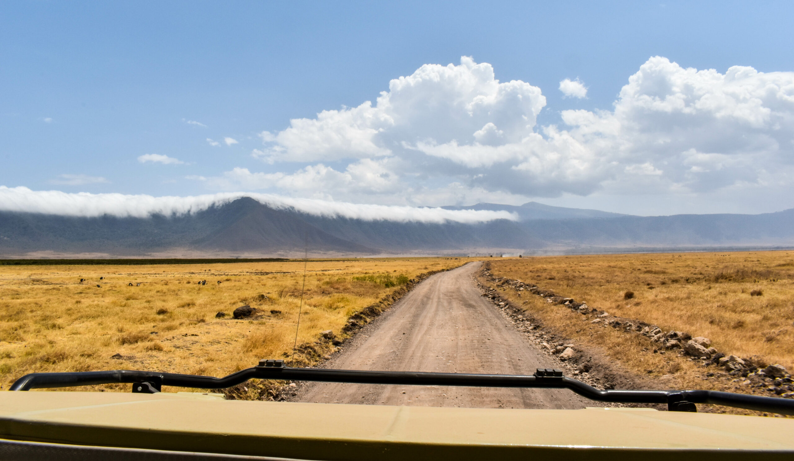 Capot de 4x4 au 1er plan, roulant sur une route de cailloux traversant la plaine jaune du cratère Ngorongoro en Tanzanie, avec au fond des nuages tombant de la falaise du cratère, tel une cascade
