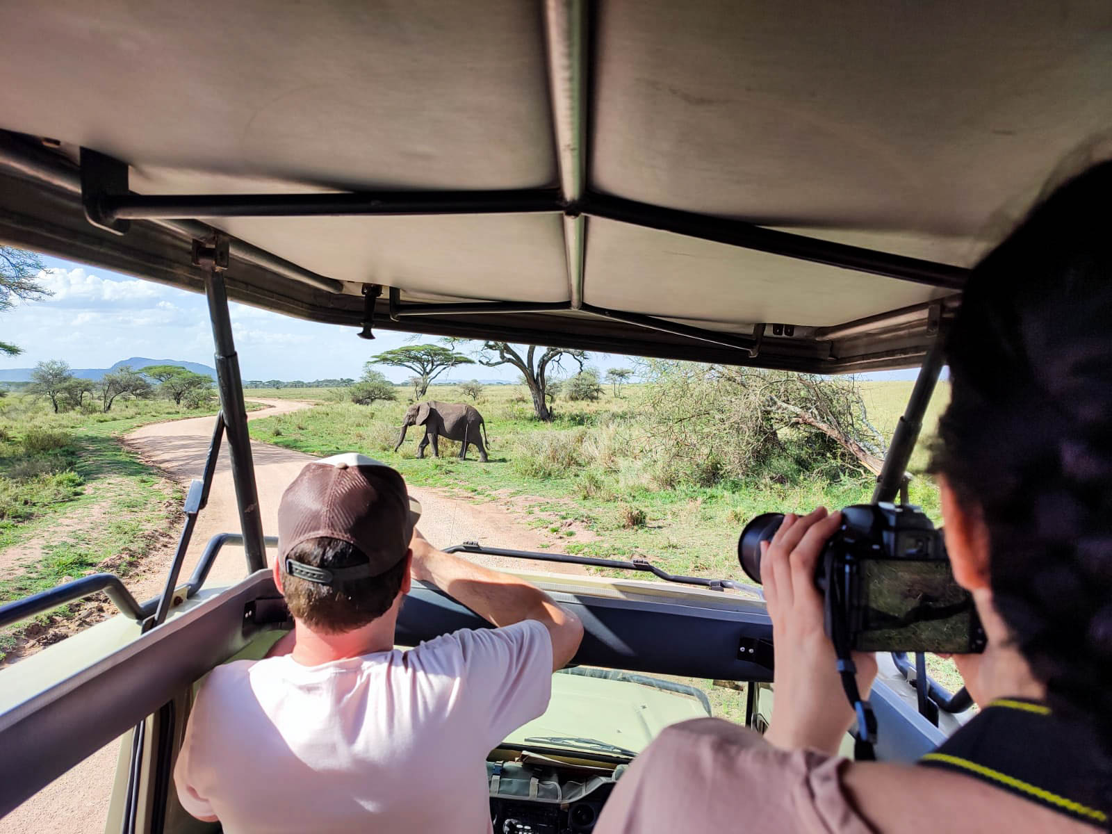 Personnes de dos, debout dans un 4x4 lors d'un safari, en train de prendre en photo un éléphant qui traverse la route de terre du parc Serengeti en Tanzanie