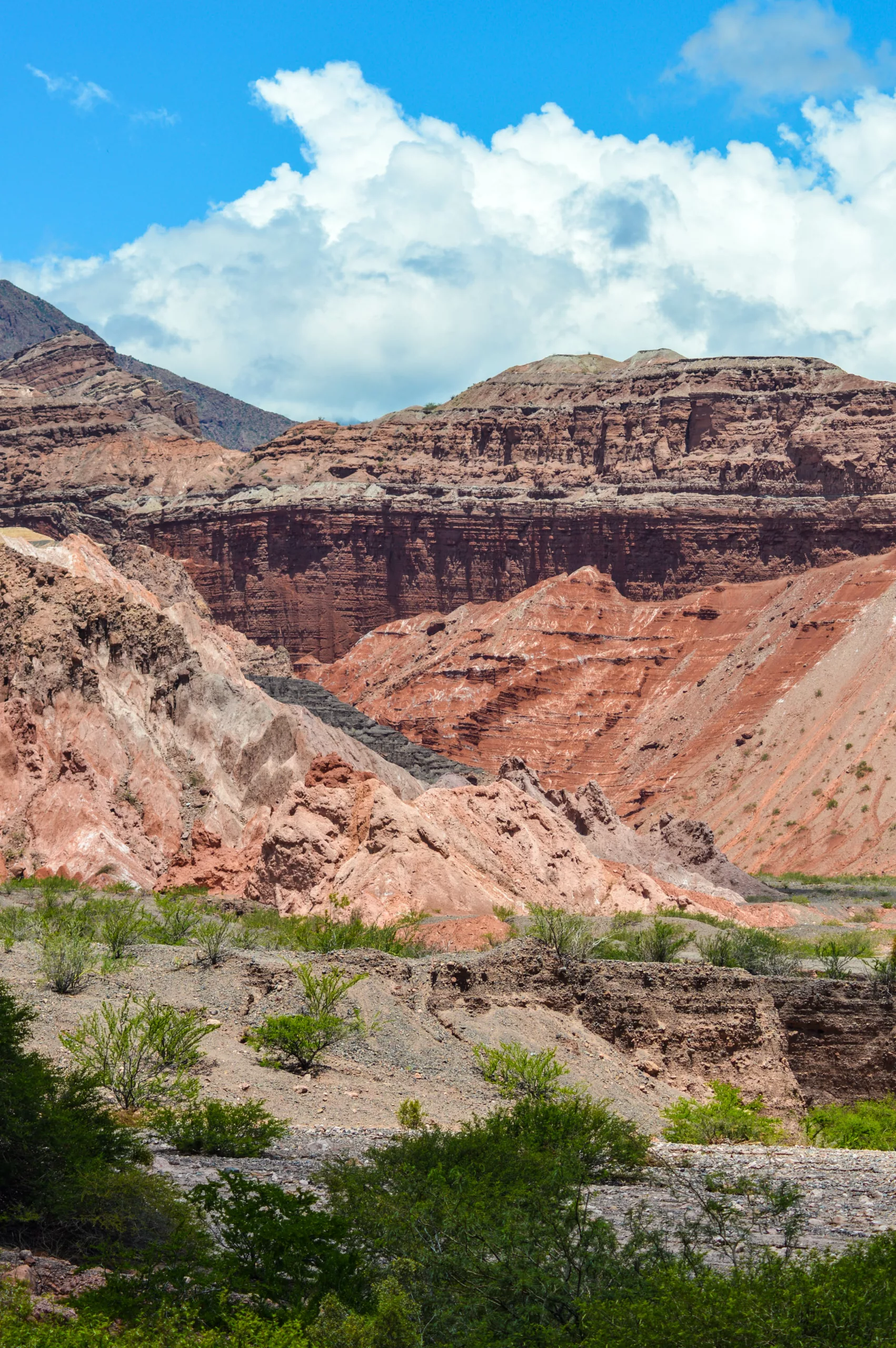 paysage désertiques avec falaises colorées