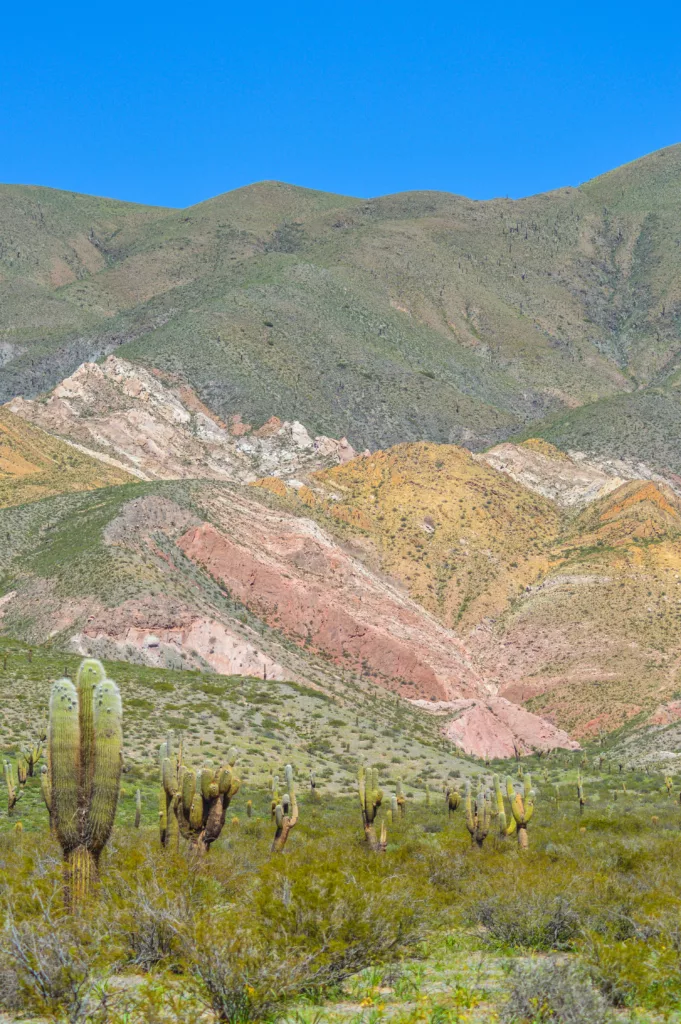 cactus et montagnes colorées