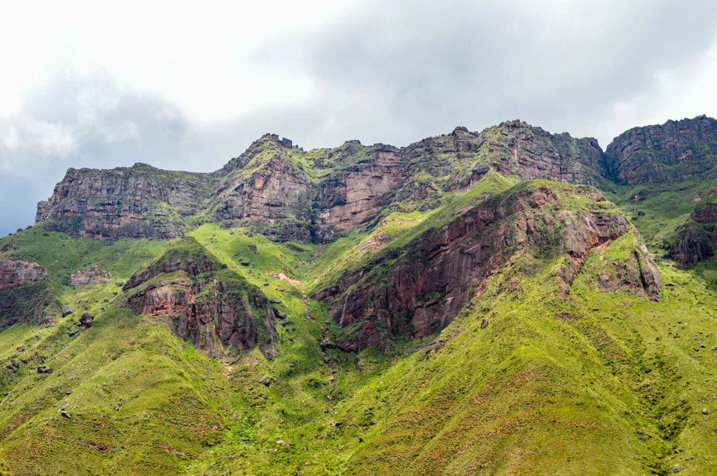 montagnes recouvertes de mousse