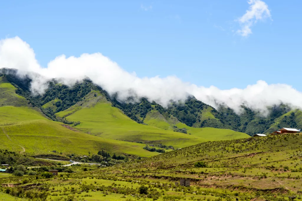 road trip nord-ouest argentine paysages verts