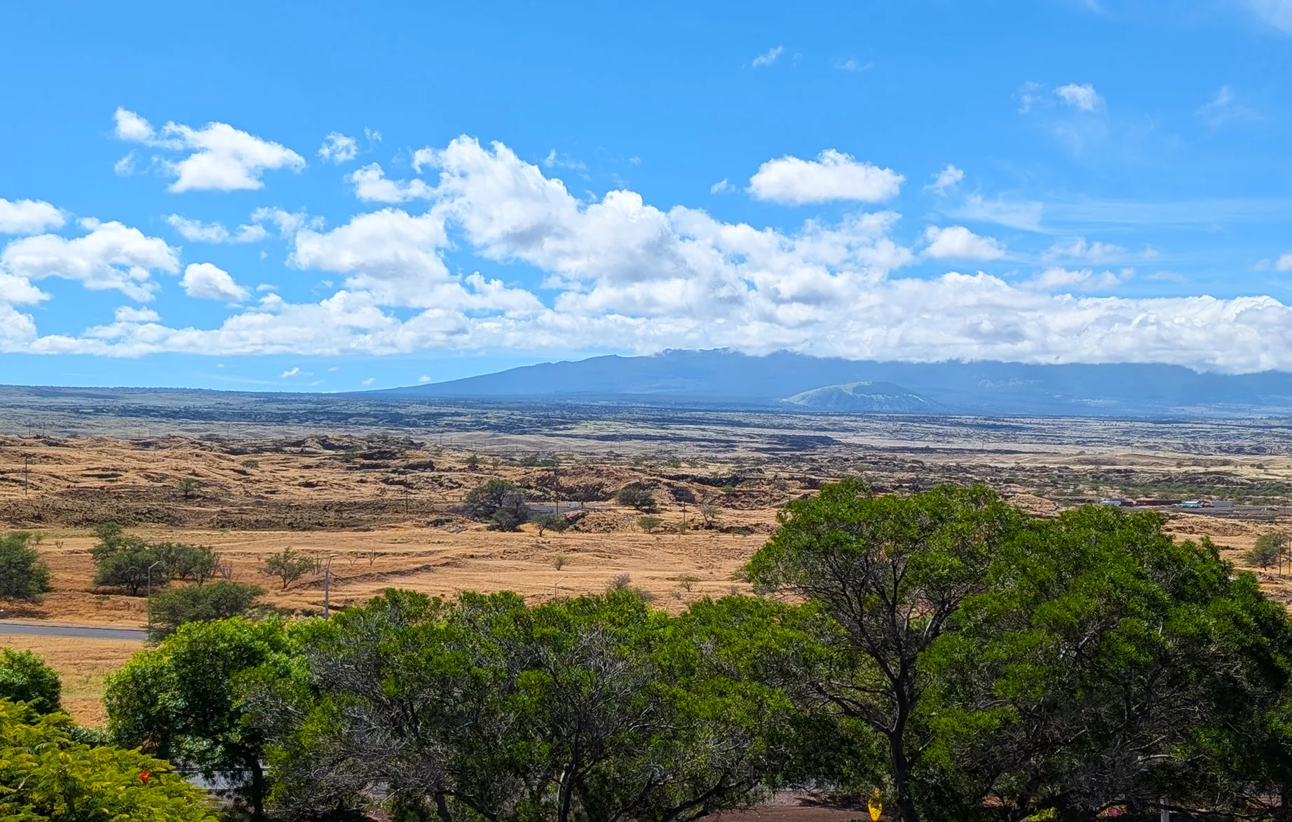 Vue d'un large paysage à Big Island Hawaï, avec des arbres verts au premier plan, des prairies brunes et sèches au-delà, et une montagne lointaine sous un ciel bleu avec des nuages épars.