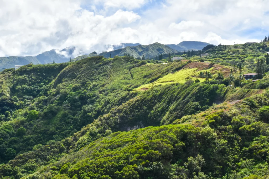 Un paysage luxuriant et verdoyant avec des collines ondulantes et une végétation dense sous un ciel partiellement nuageux