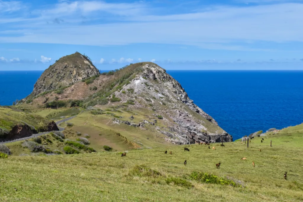 Des collines d'herbes avec des animaux au pâturage mènent à des falaises rocheuses au-dessus d'un océan bleu profond sous un ciel clair avec des nuages épars