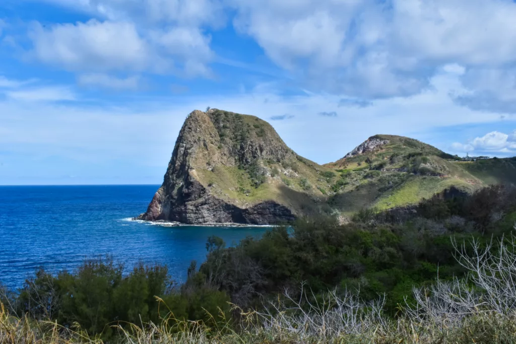 Une roche verte s'avance dans l'océan bleu sous un ciel partiellement nuageux, avec quelques buissons et de l'herbe au premier plan