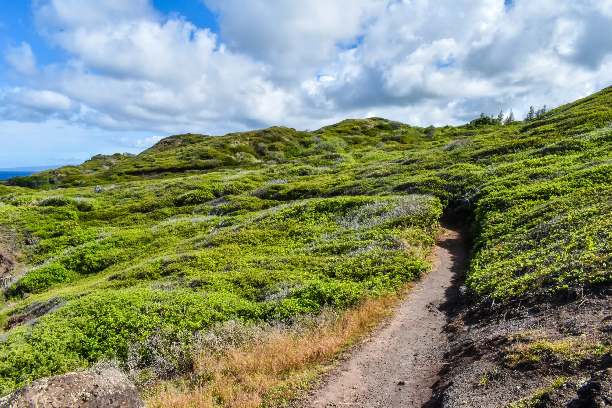 Un étroit sentier de terre serpente à travers des collines vertes et couvertes de buissons sous un ciel partiellement nuageux. C'est la randonnées de à envisager si vous vous demandez quoi faire à Maui.