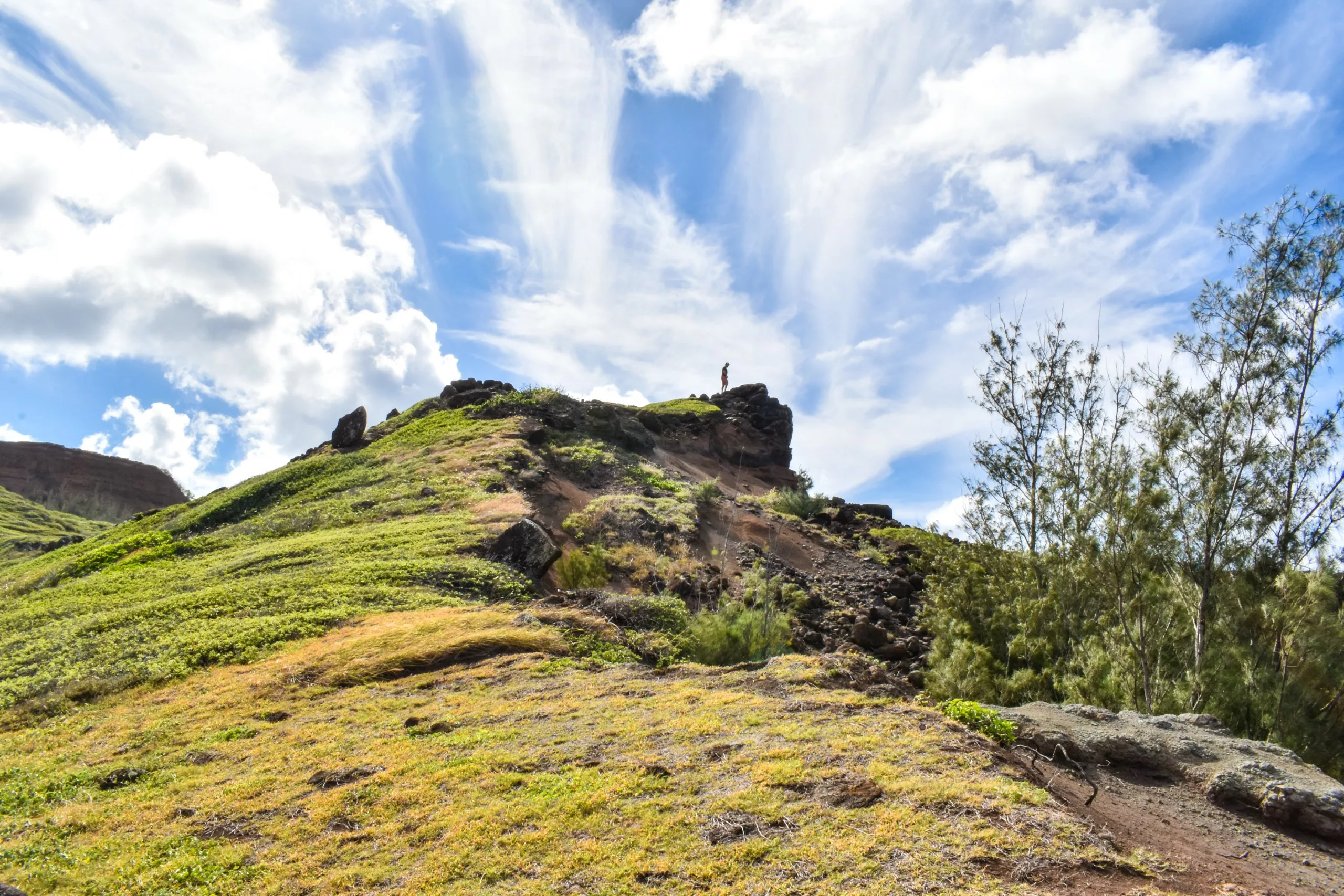 Une personne se tient au sommet d'une colline herbeuse sous un ciel bleu avec des nuages épars, entourée de végétation verte et d'arbres - une scène qui rappelle ce que faire à Maui pour les amoureux de la nature.