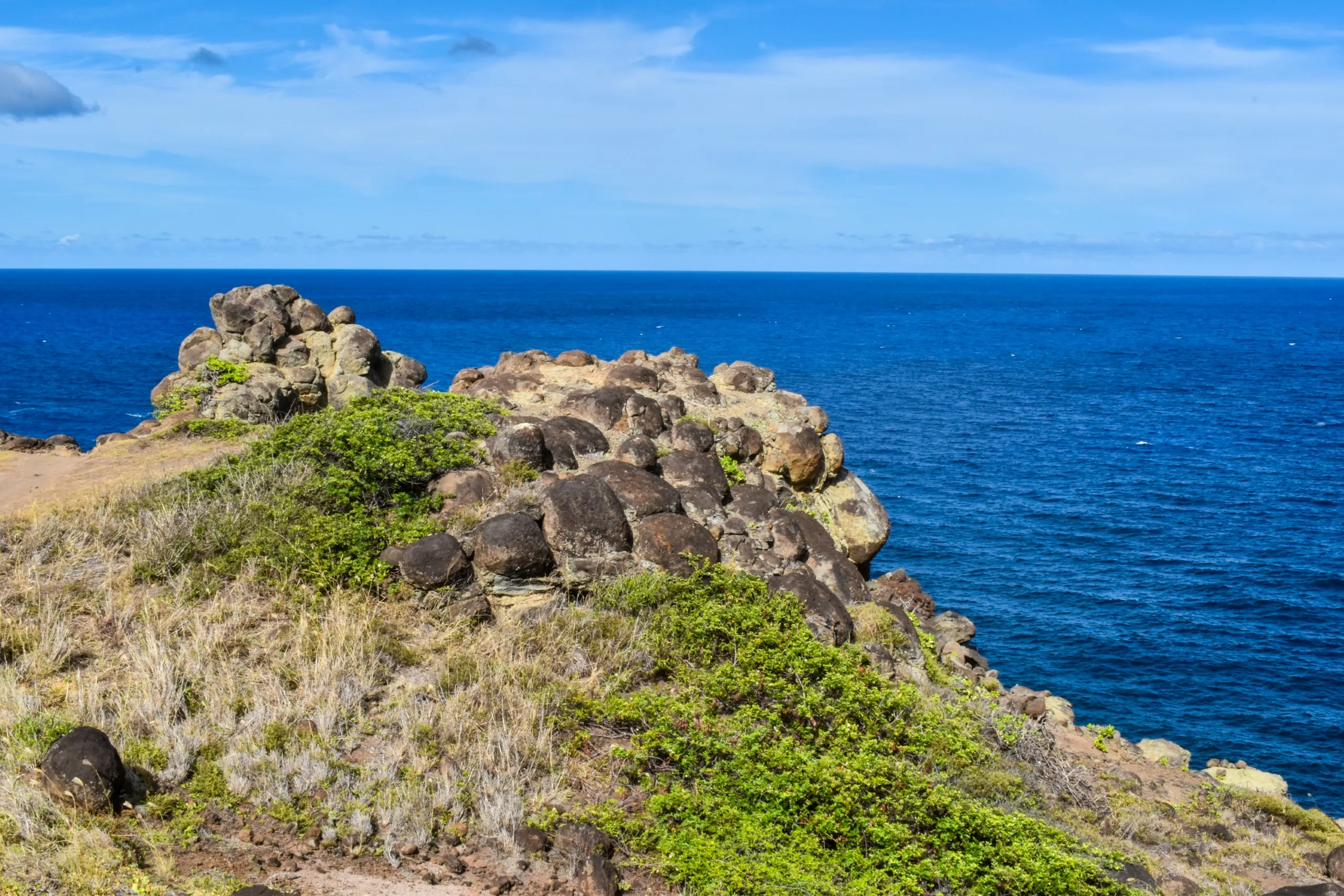 Une falaise rocheuse couverte d'herbe et d'arbustes surplombe un océan bleu profond sous un ciel clair