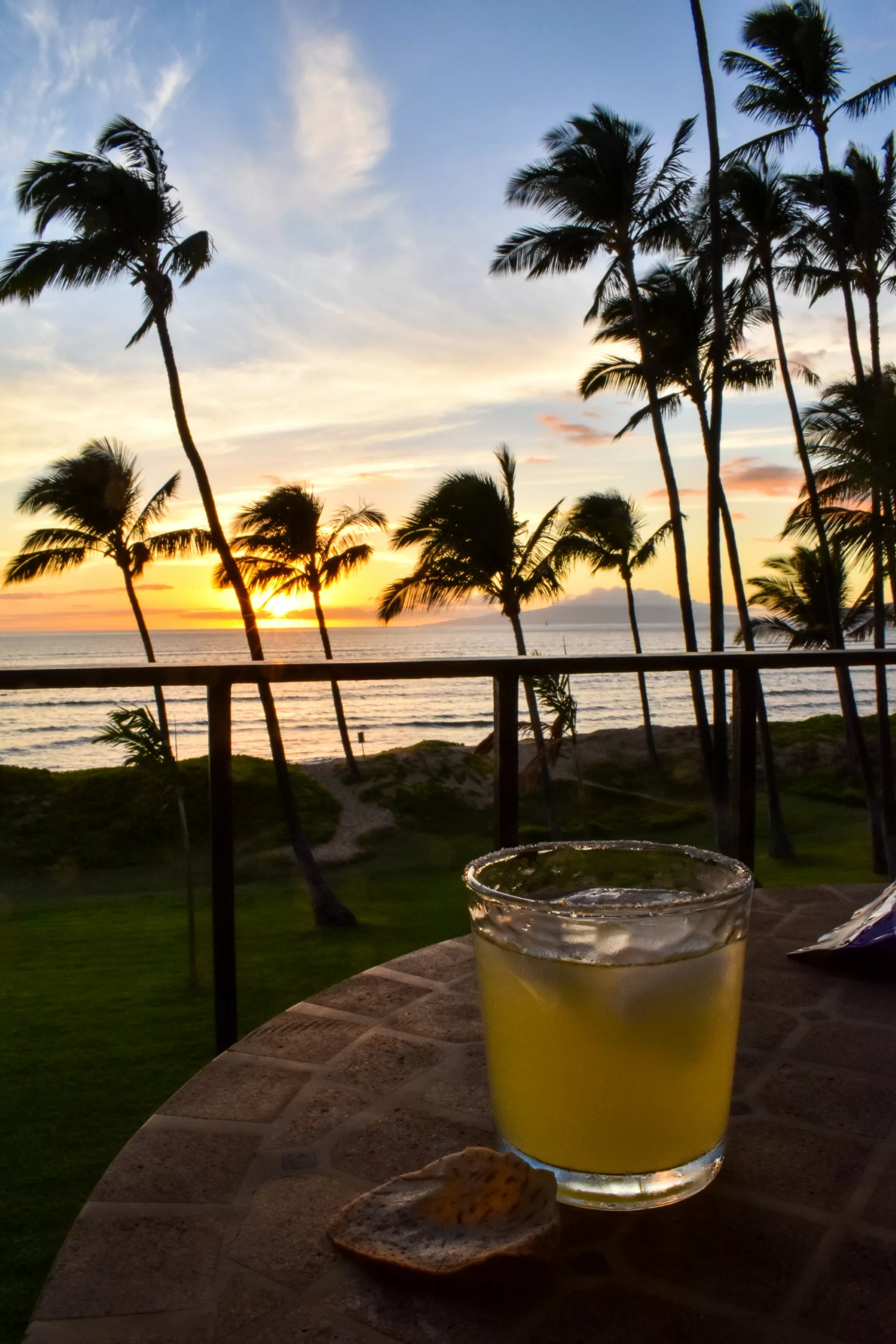Un verre de boisson avec de la glace et un cracker sur une table, posé sur une terrasse avec des palmiers, de l'herbe et l'océan au coucher du soleil