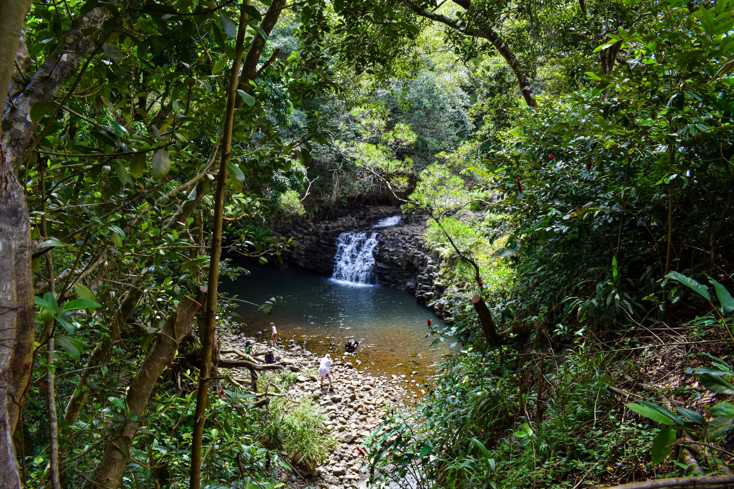 Une petite cascade se jette dans une piscine naturelle entourée d'un feuillage vert dense avec des gens se relaxant près du bord rocheux ensoleillé.