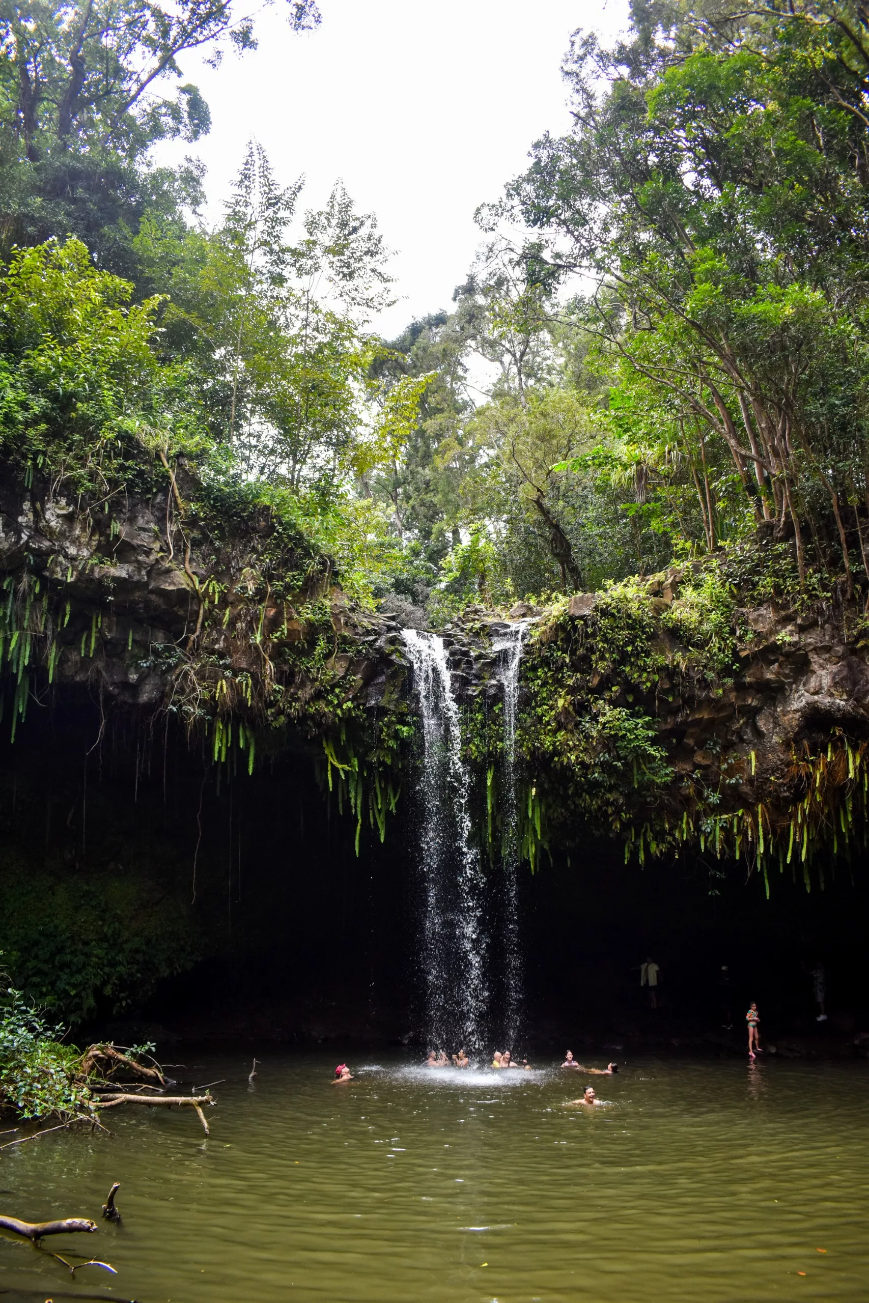 Une petite cascade se jette dans une piscine naturelle entourée d'une végétation luxuriante. Plusieurs personnes nagent et se tiennent sous la cascade