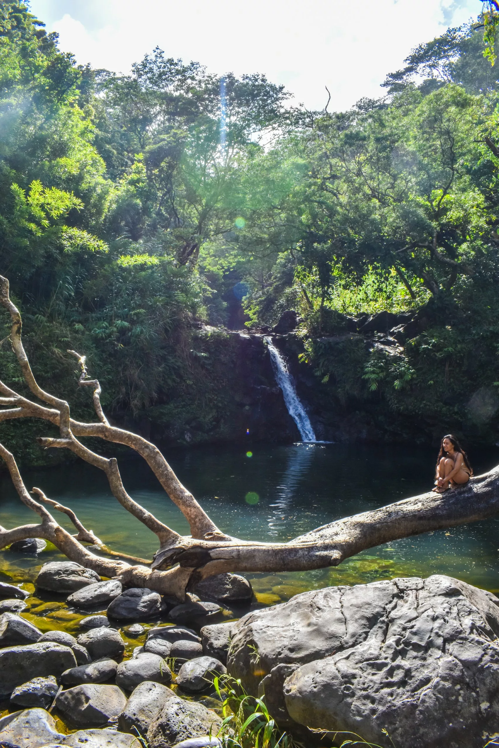 Une femme est assise sur un gros tronc d'arbre tombé au-dessus d'un étang, avec une petite cascade en arrière-plan, au milieu d'une verdure luxuriante à Maui