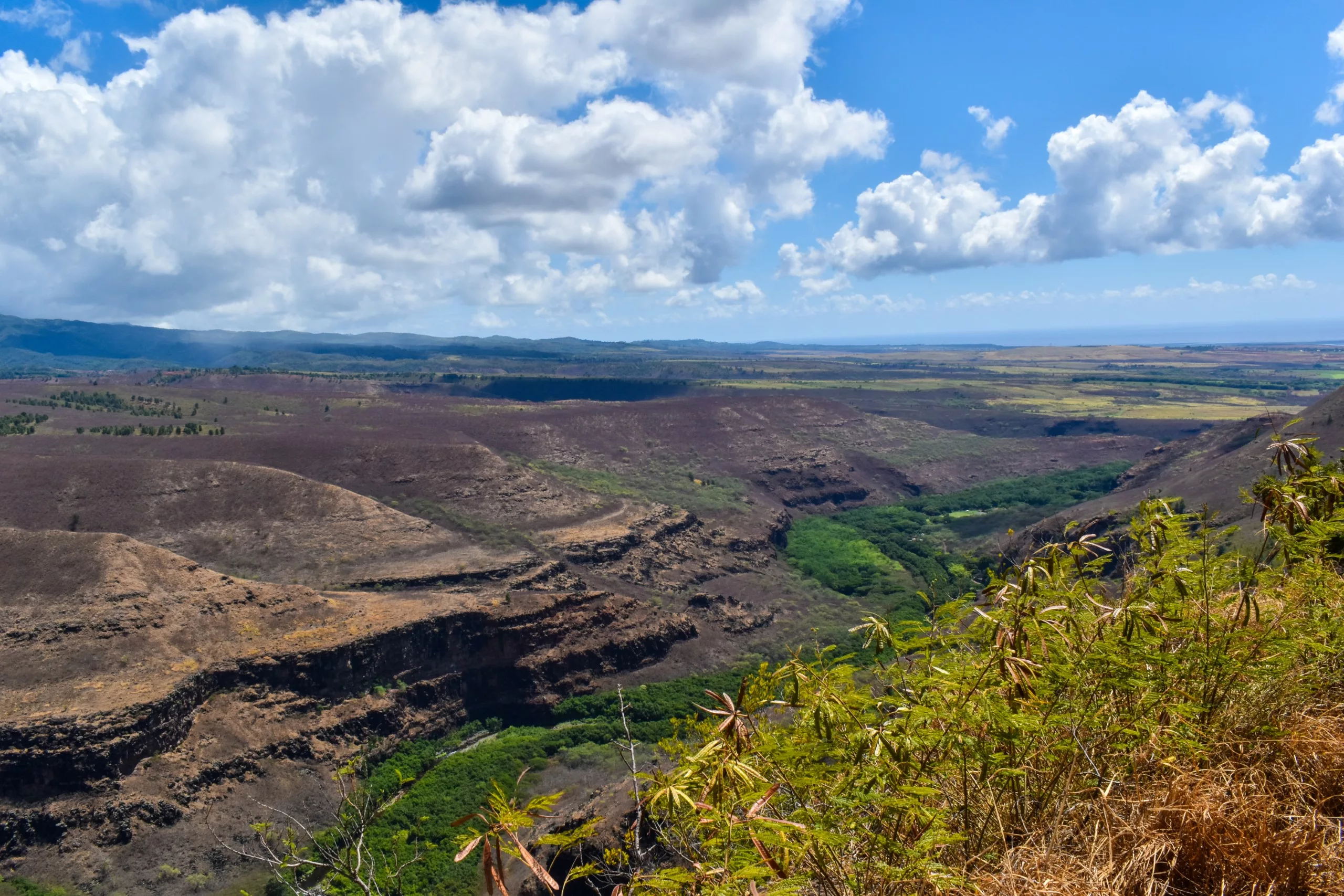 Vue d'un large canyon aux collines brunes et escarpées, à la végétation verdoyante de la vallée en contrebas. Herbes sèches et plantes encadrent le paysage pittoresque au premier plan.