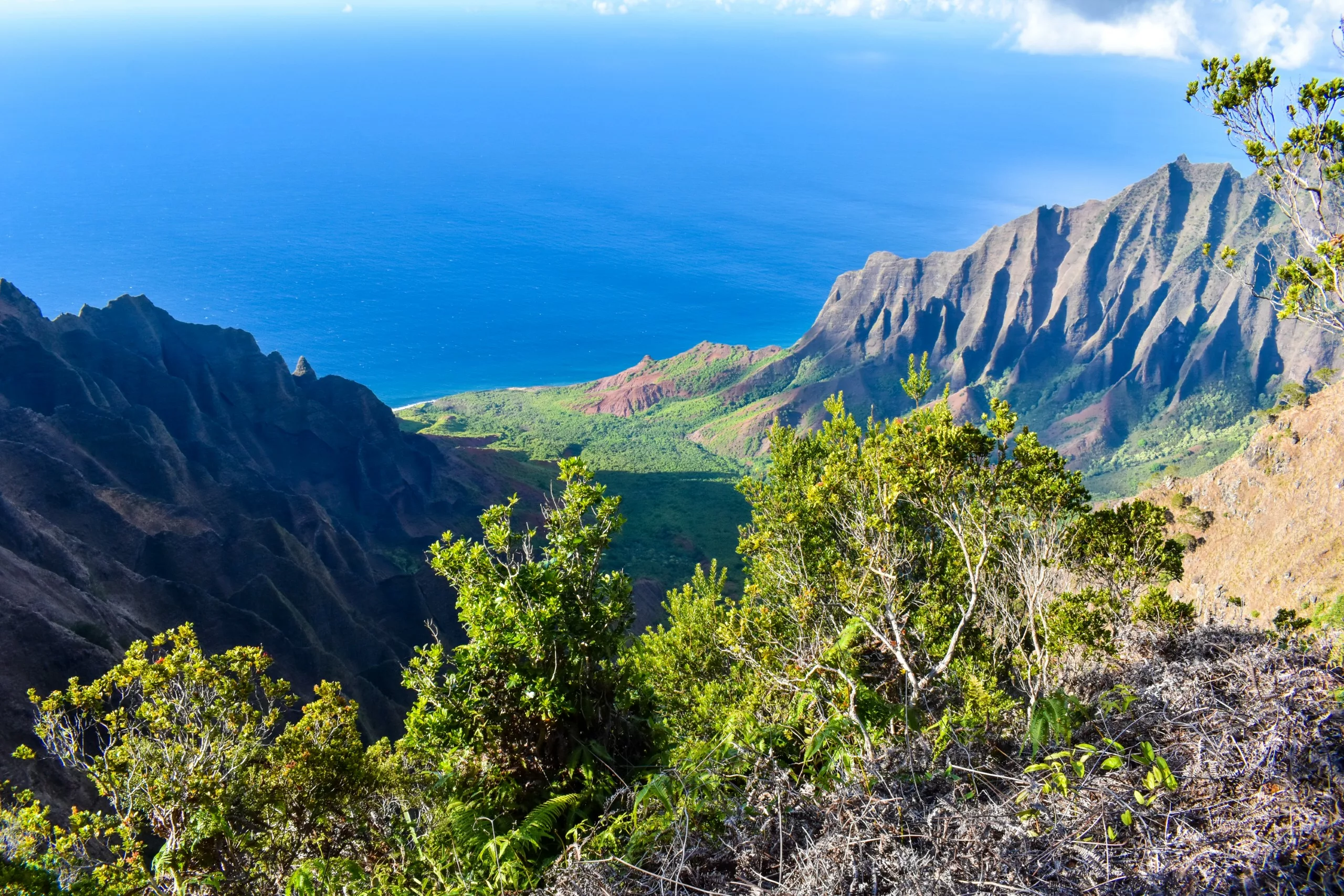 Vue depuis une haute falaise surplombant une vallée verdoyante, des montagnes escarpées et l'océan bleu sous un ciel partiellement nuageux et une végétation dense qui occupe le premier plan.