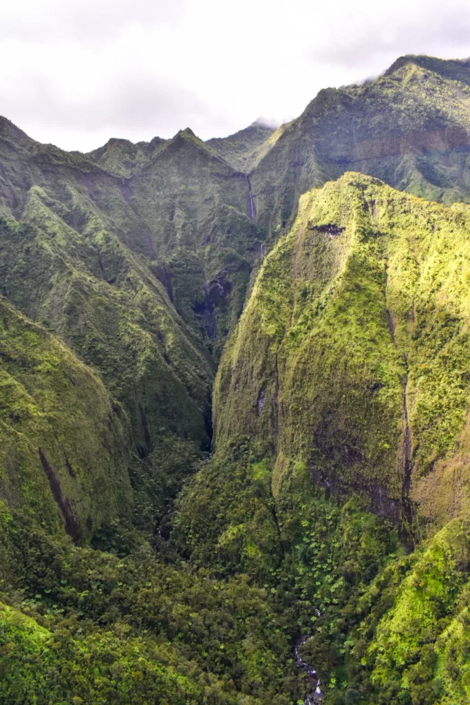 Vue aérienne des montagnes escarpées et verdoyantes et des vallées profondes de Kauai, recouvertes d'une végétation dense. De petits ruisseaux serpentent au fond de la vallée sous un ciel nuageux