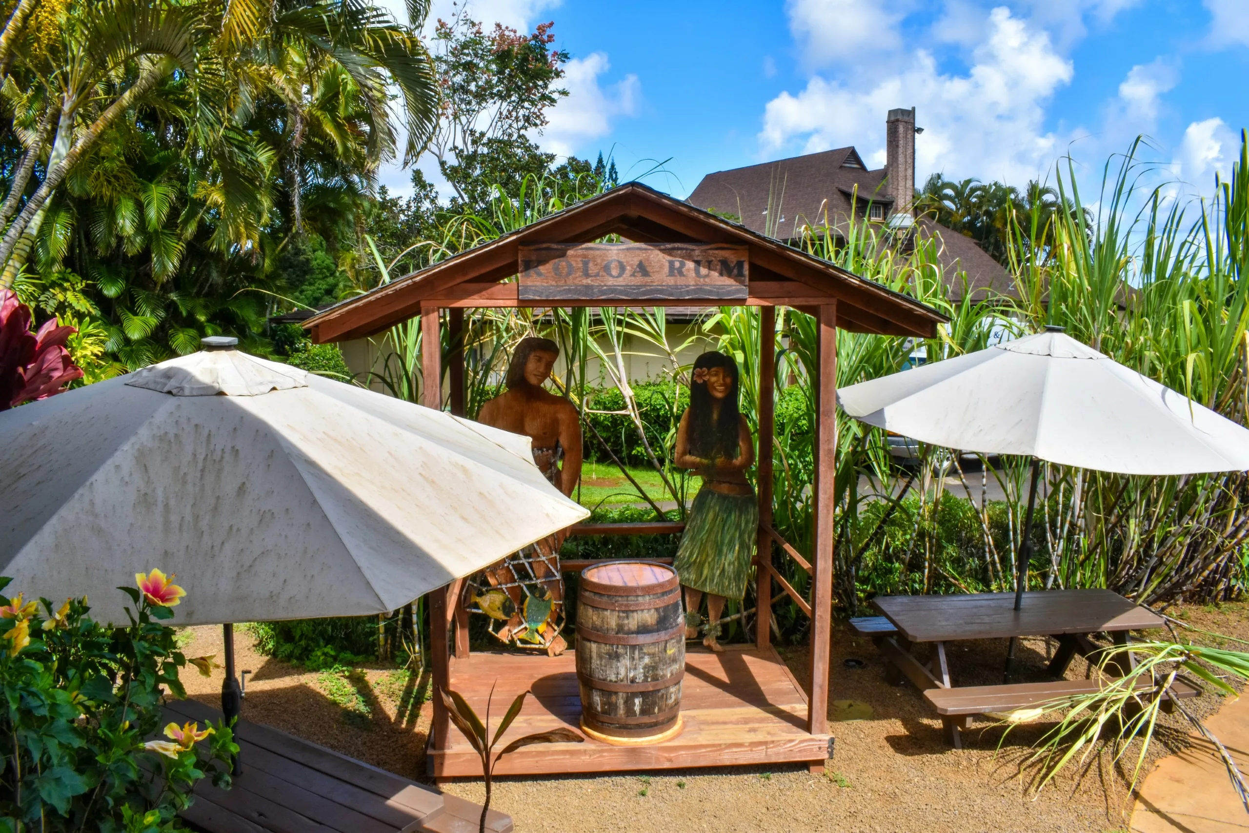 Une petite cabane en bois ornée d'une enseigne « KOLOA RUM » représente la Koloa Rhum Company. Deux figurines grandeur nature, un tonneau, des tables de pique-nique et des parasols trônent au cœur d'une végétation luxuriante.