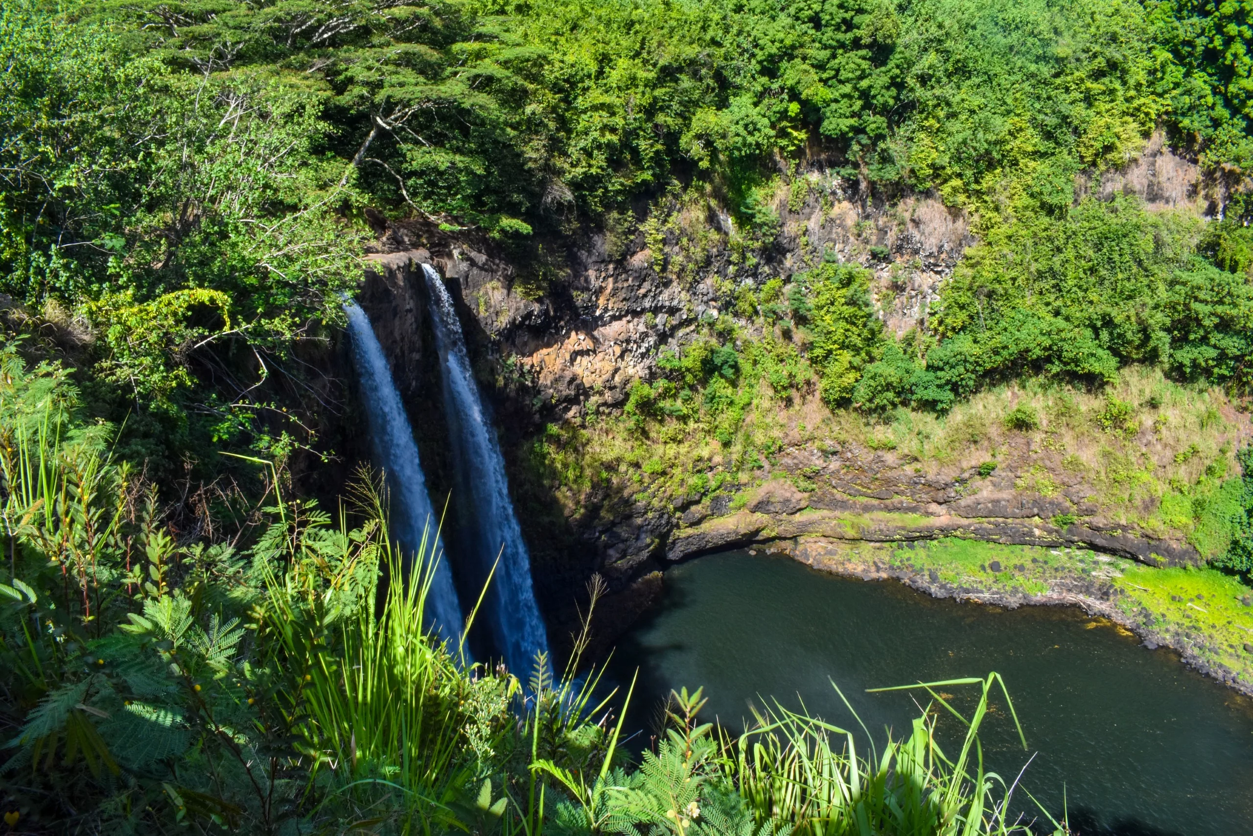 Une cascade coule d'une falaise rocheuse entourée d'une végétation verte dense sur Kauai, se déversant dans une piscine ronde à la base, avec des fougères et de l'herbe au premier plan.