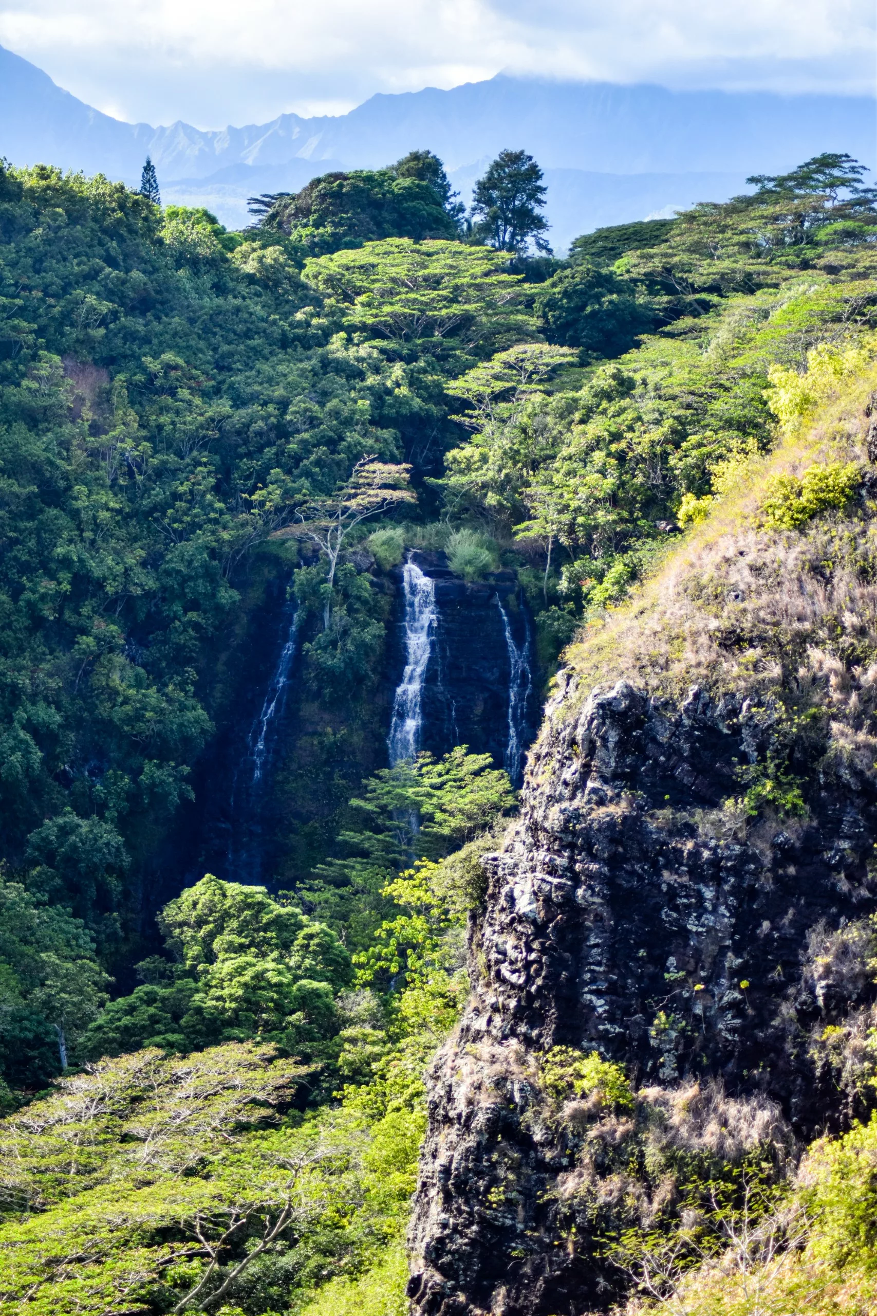 Une étroite cascade coule le long d'une falaise verte et boisée dans une vallée profonde entourée d'arbres denses, d'affleurements rocheux et de montagnes lointaines. Un incontournable à visiter à Kauai