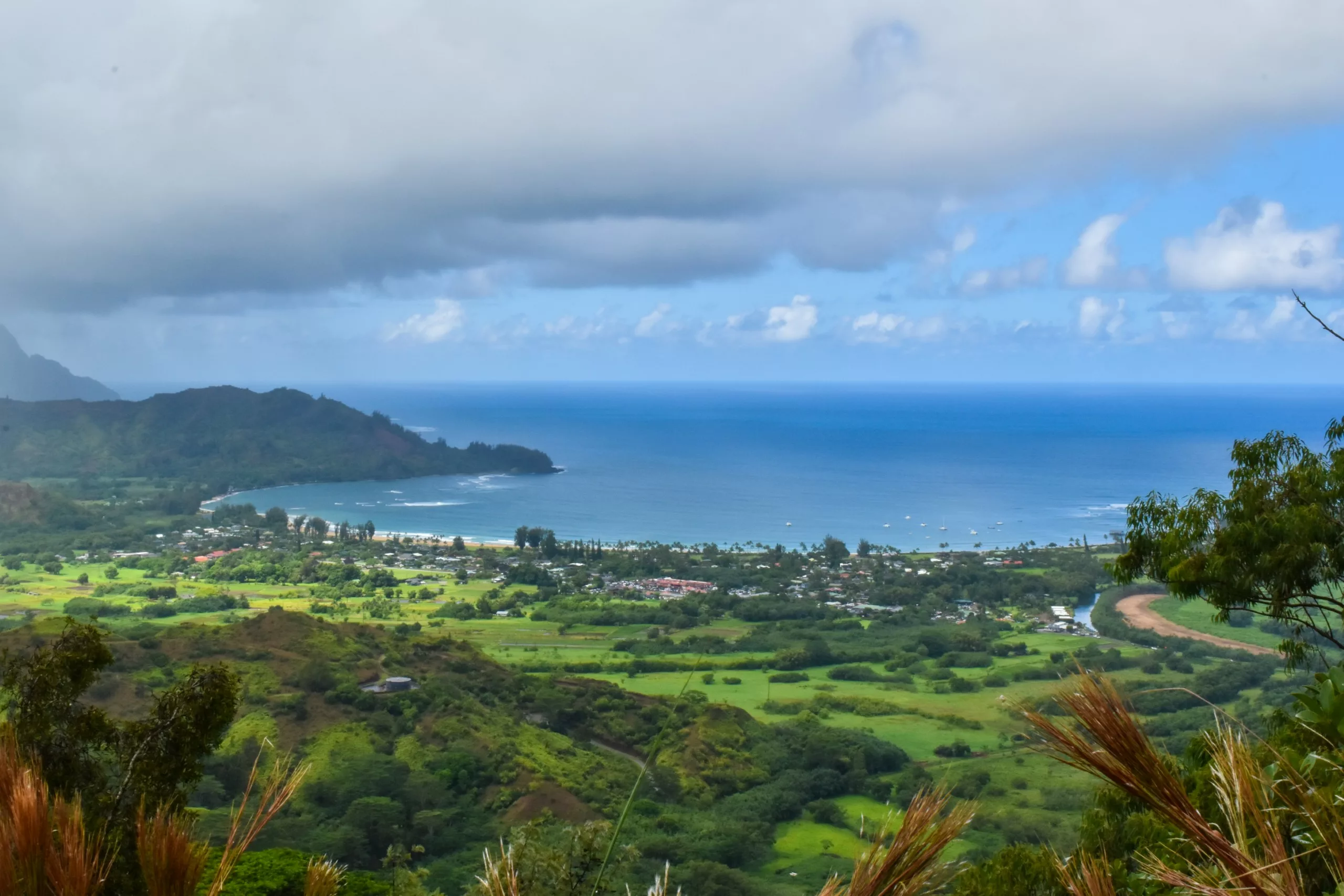 Vue d'un paysage côtier sur Kauai avec des champs verts et des arbres au premier plan, une ville près du rivage et l'océan bleu au-delà