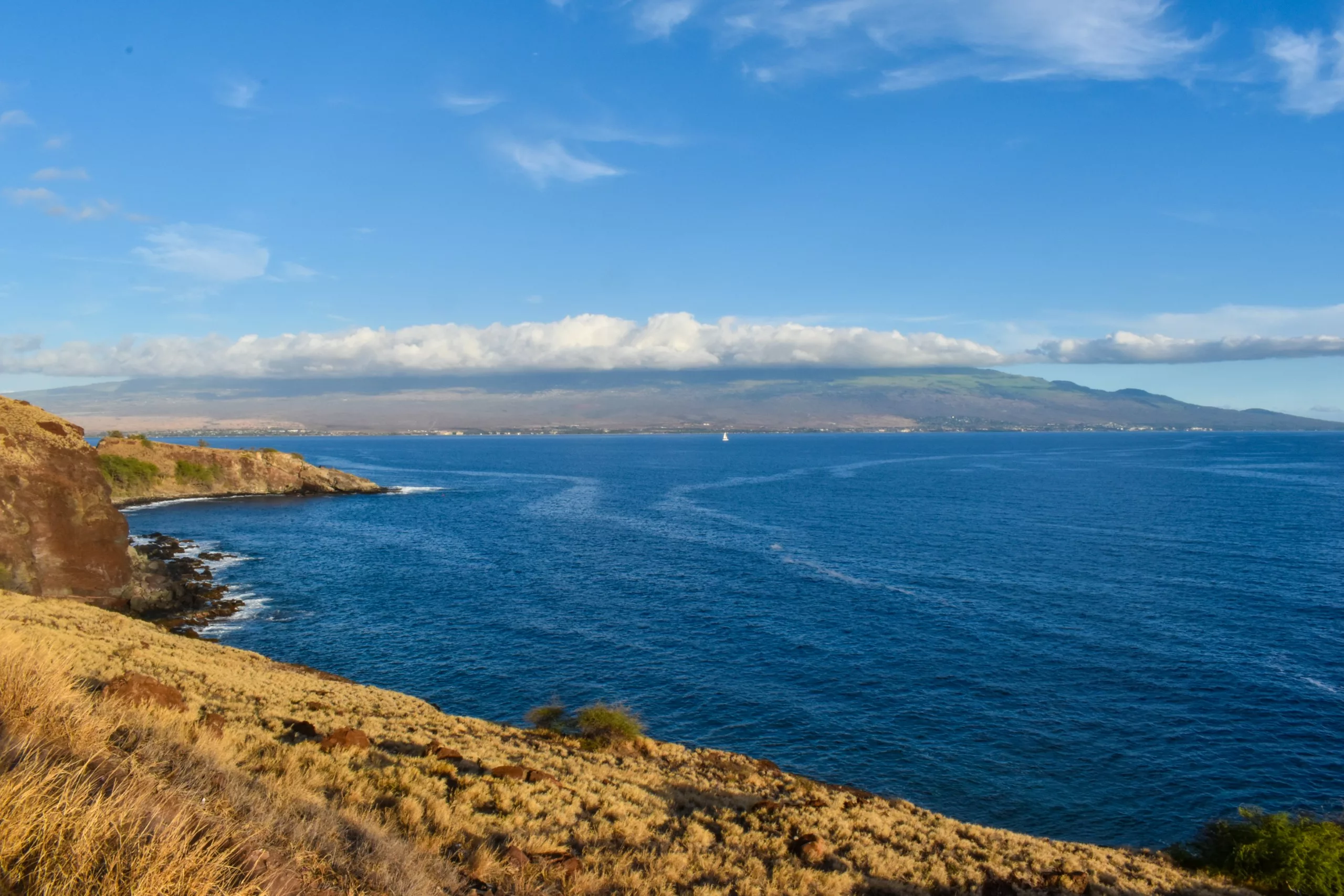 Une vue d'une côte rocheuse avec de l'herbe sèche au premier plan, une eau de mer d'un bleu profond et une masse continentale lointaine sous un ciel partiellement nuageux