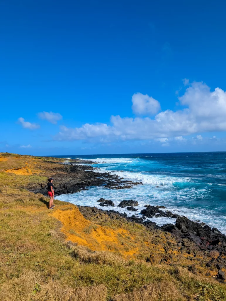 Une personne se tient sur une falaise côtière, teintée de jaune, regardant les roches volcaniques noires et les vagues bleues de l'océan