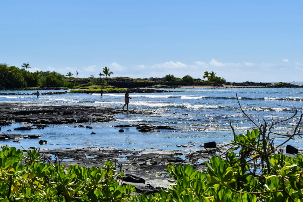 Des gens marchent le long d'un rivage rocheux avec de douces vagues, des plantes vertes luxuriantes et des palmiers