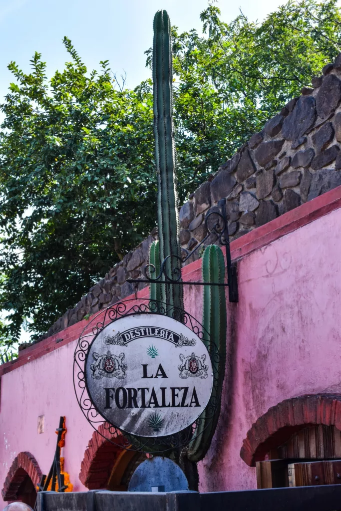 Un panneau rond indiquant "Destilería La Fortaleza" est accroché devant un grand cactus, avec un mur en stuc rose, des pierres arquées et de la verdure