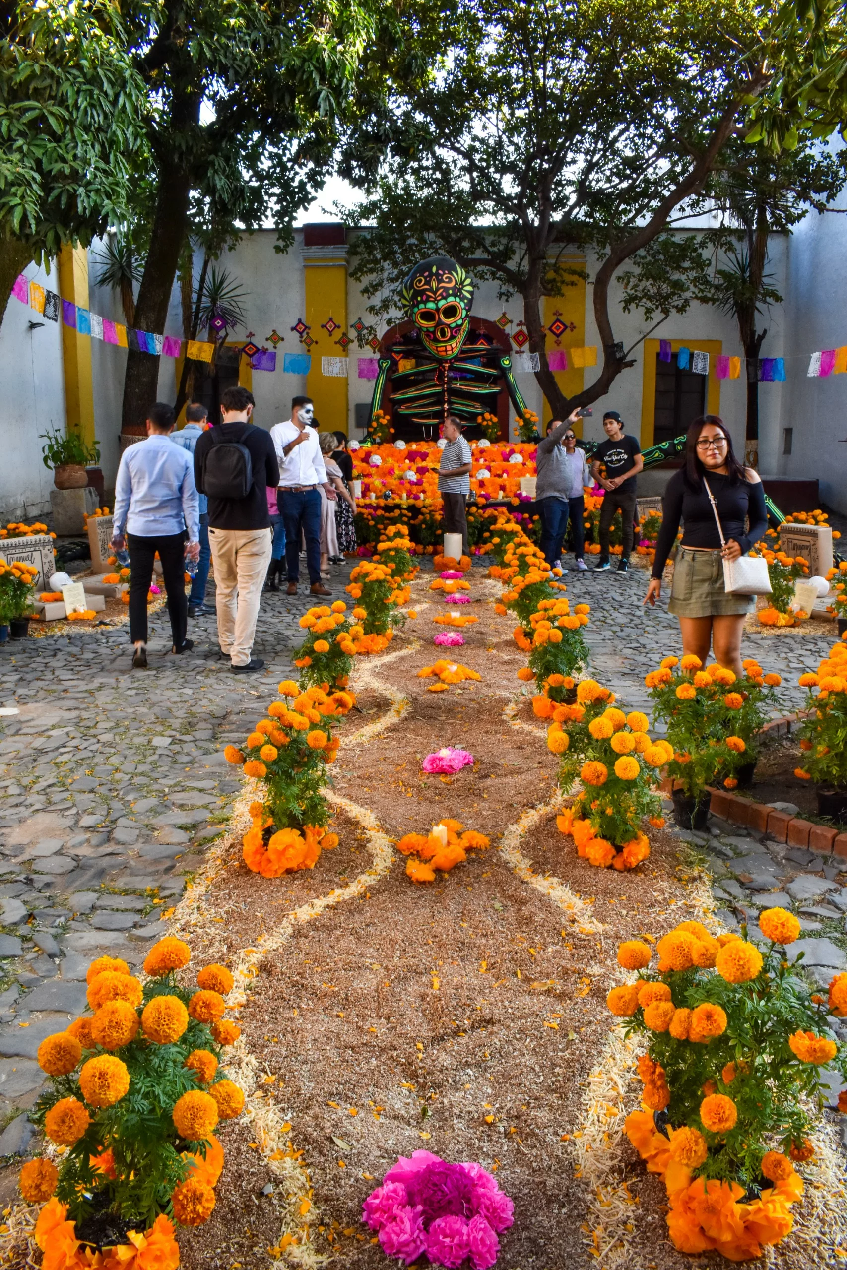Des personnes marchent autour d'un chemin décoré de fleurs de cempasúchil menant à une grande sculpture de crâne colorée pour la fête des morts mexicaine dans une cour extérieure. Des arbres, des bannières en papel picado et des autels complètent la scène festive.