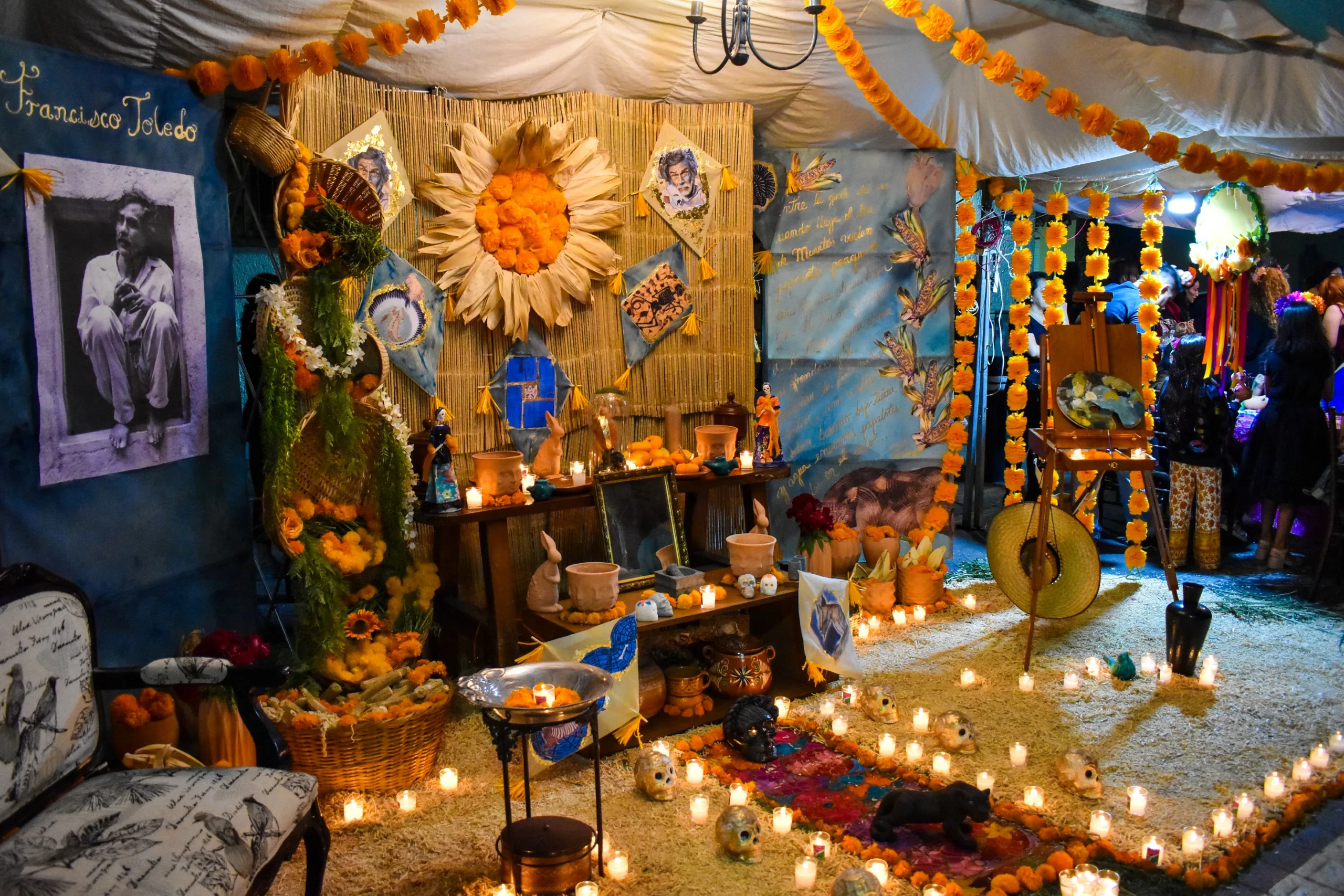 Un autel coloré pour le Día de Muerto est orné de bougies, de fleurs, de nourriture, de photos, d'instruments de musique et d'offrandes dans un espace ressemblant à une tente en l'honneur de Francisco Toledo.