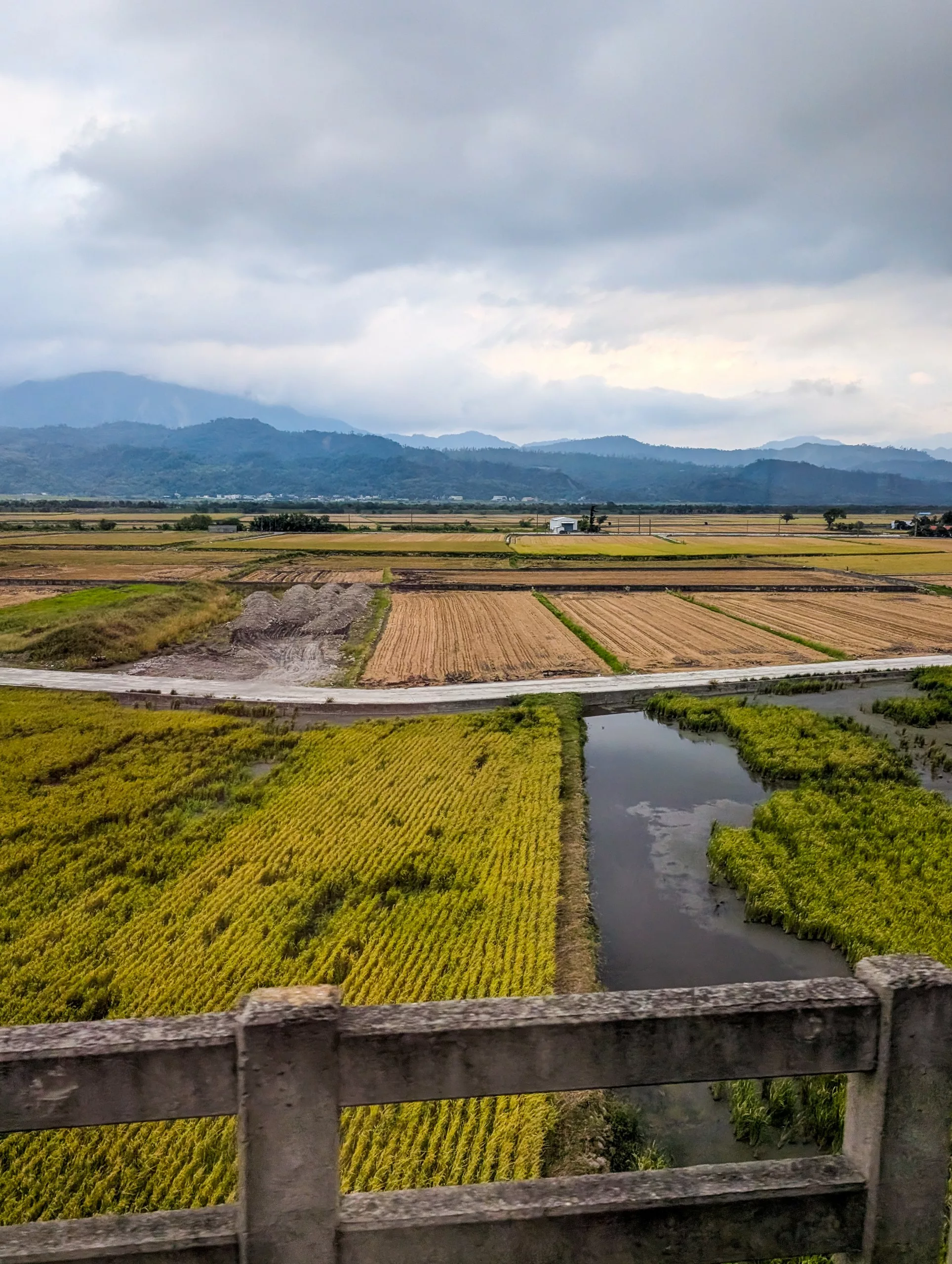 Un pont en béton surplombe des rizières plates, vertes et jaunes, divisées en sections, avec un étroit canal d'eau et des montagnes lointaines.