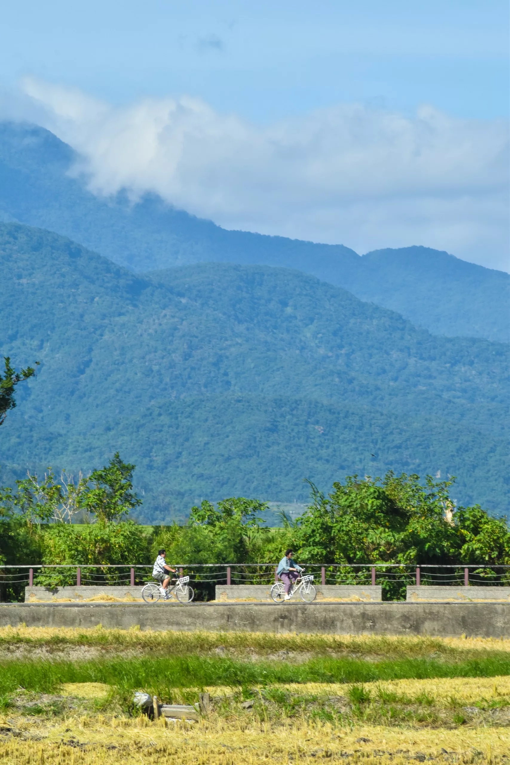 Deux personnes roulent à vélo sur un chemin bordé de verdure à Taitung, avec des champs moissonnés devant elles et des montagnes au fond