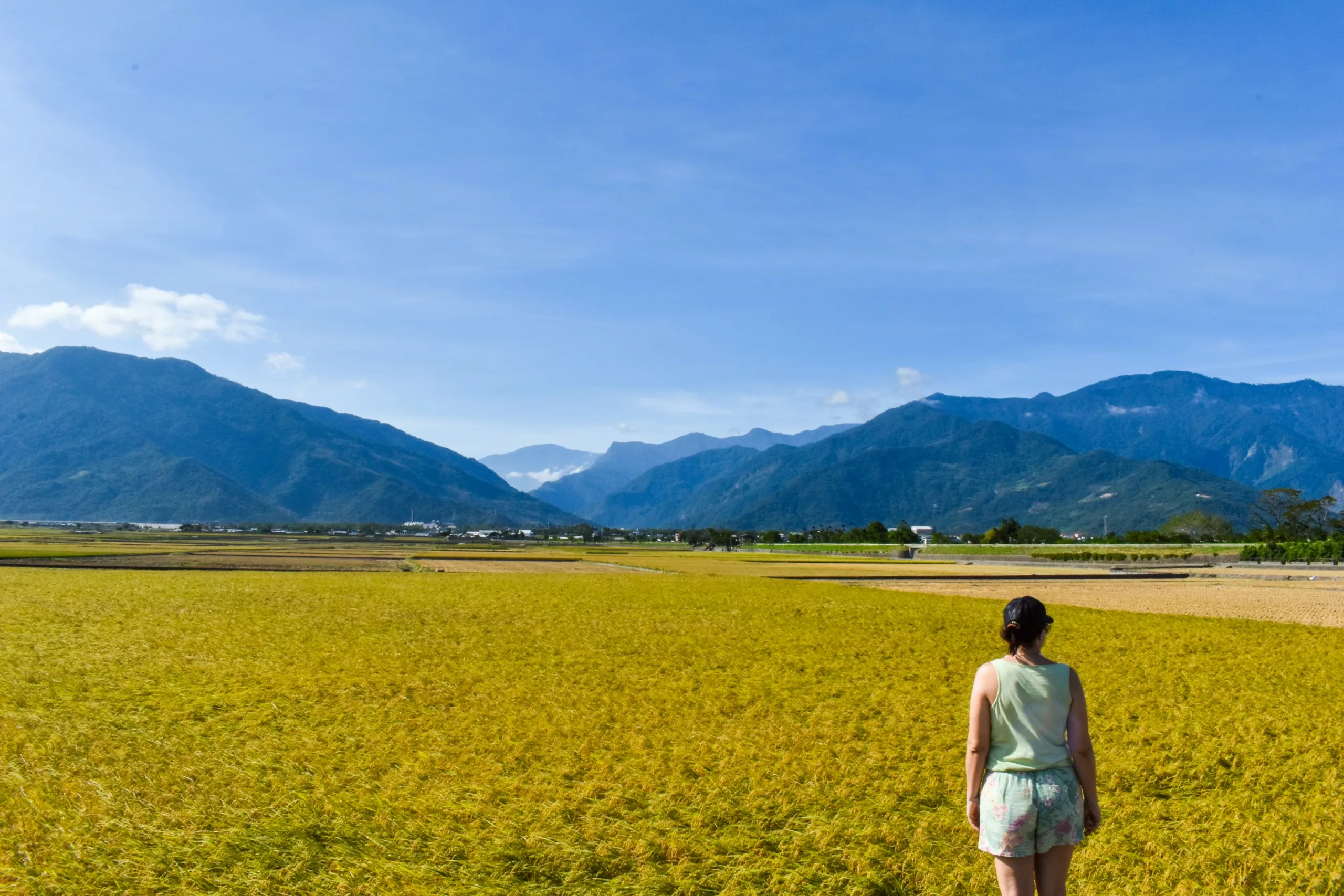 Une personne vêtue d'un débardeur léger et d'un short, se tient de dos dans une rizière jaune avec des montagnes et un ciel bleu en arrière-plan.
