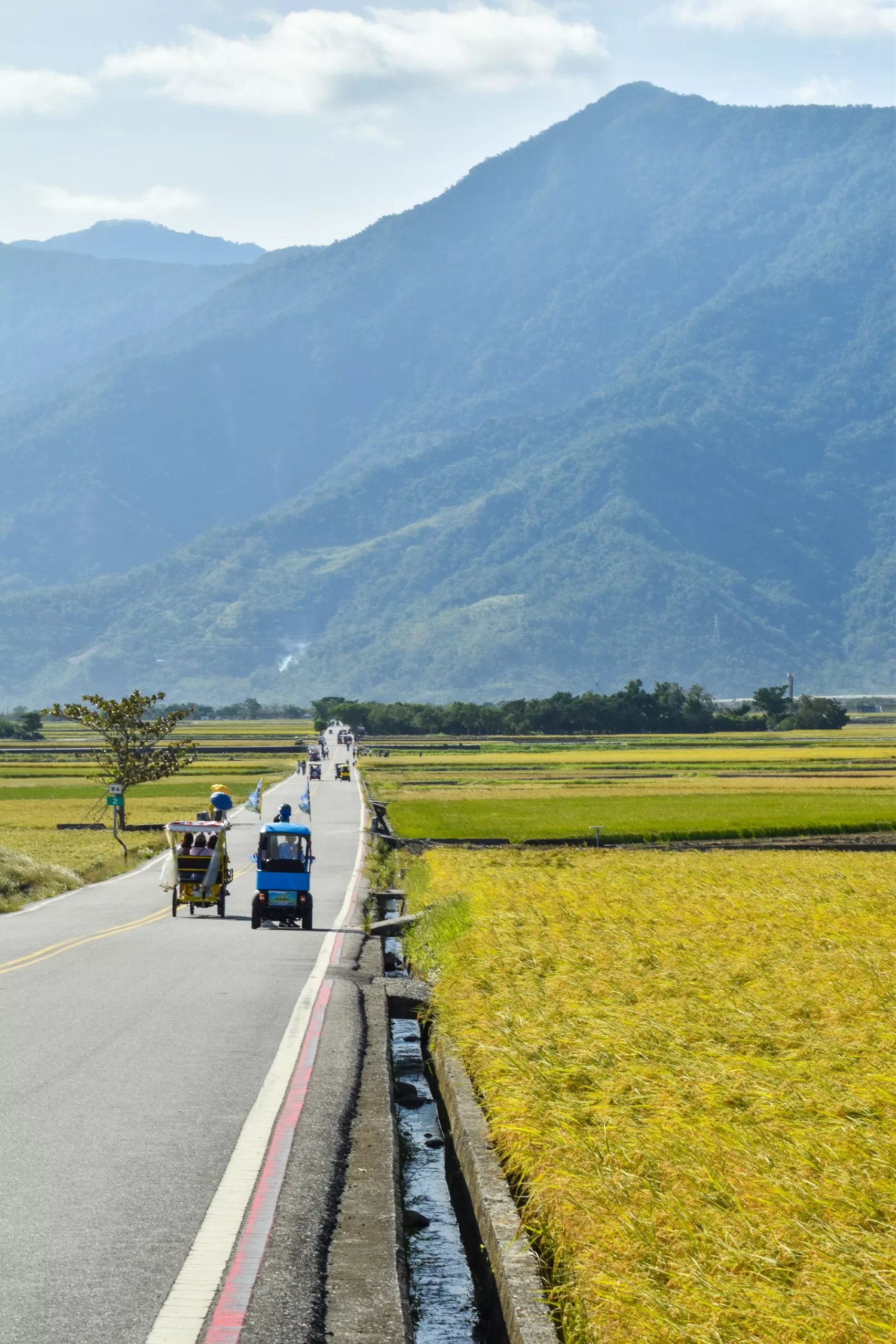 Une route rectiligne traverse des rizières jaunes, où les gens circulent en tuk-tuk ou à bicyclette.