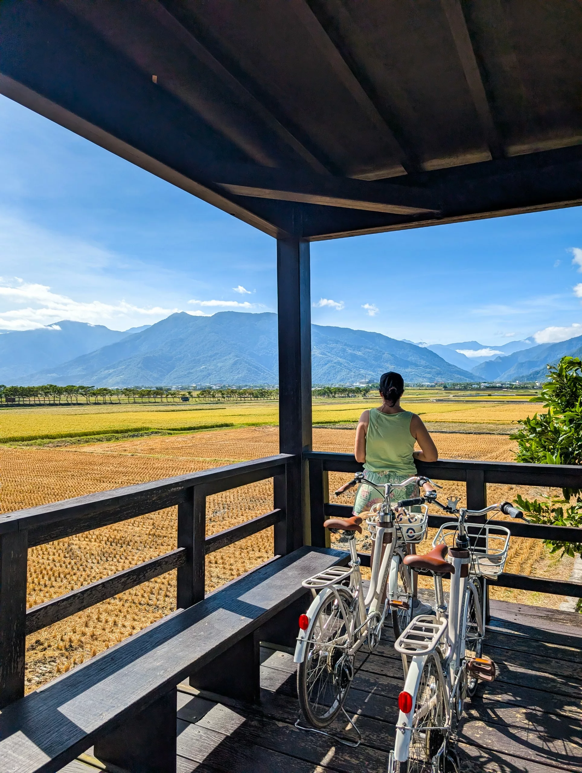 Un personne se tient sur une terrasse en bois dans un écrin de verdure, surplombant des champs jaunes et des montagnes lointaines. Deux vélos reposent sous la structure ombragée.