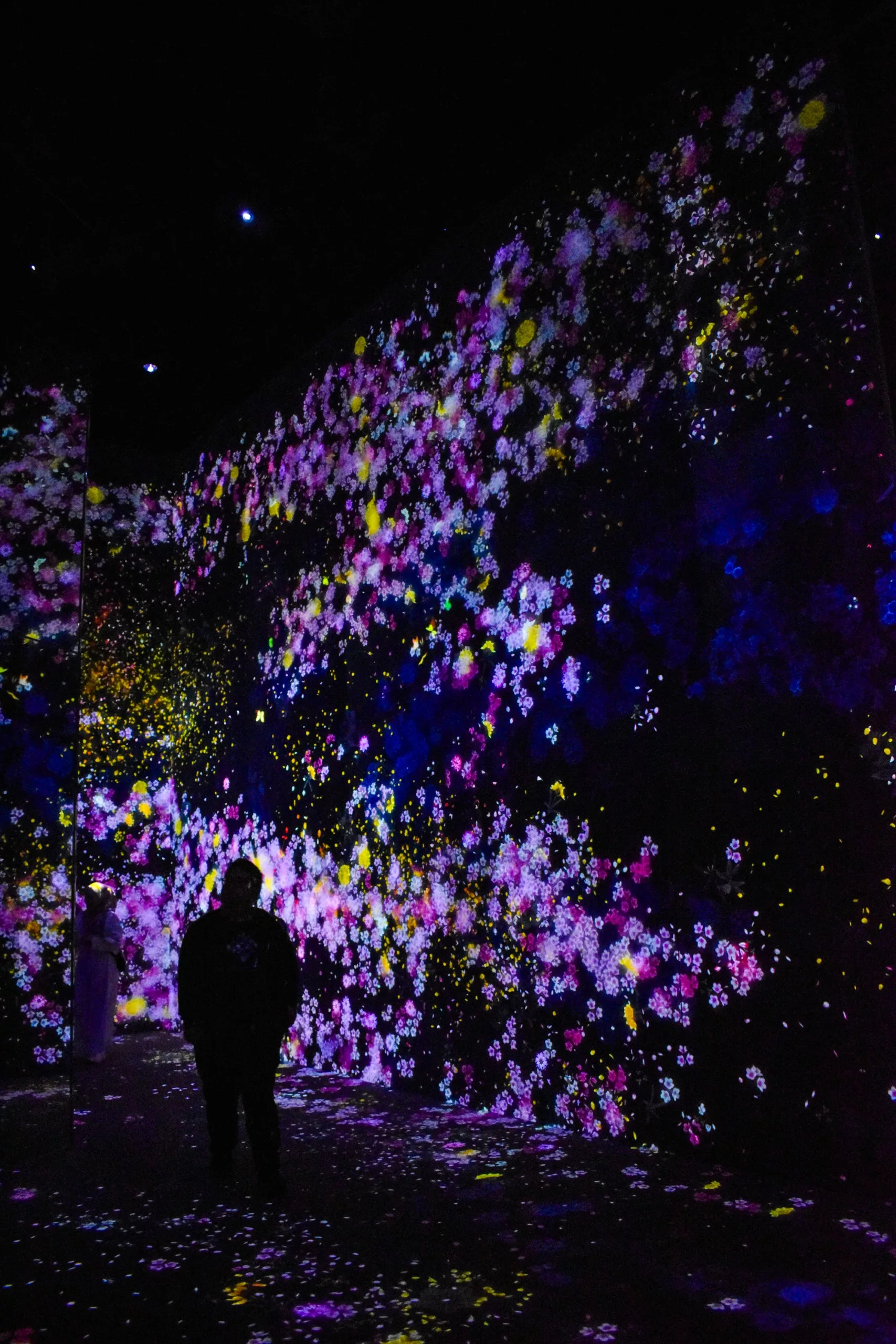 Une personne se tient dans une pièce sombre entourée de projections numériques immersives de fleurs colorées, créant une atmosphère vibrante et lumineuse - une expérience inoubliable pour tous ceux qui cherchent que faire à Tokyo.