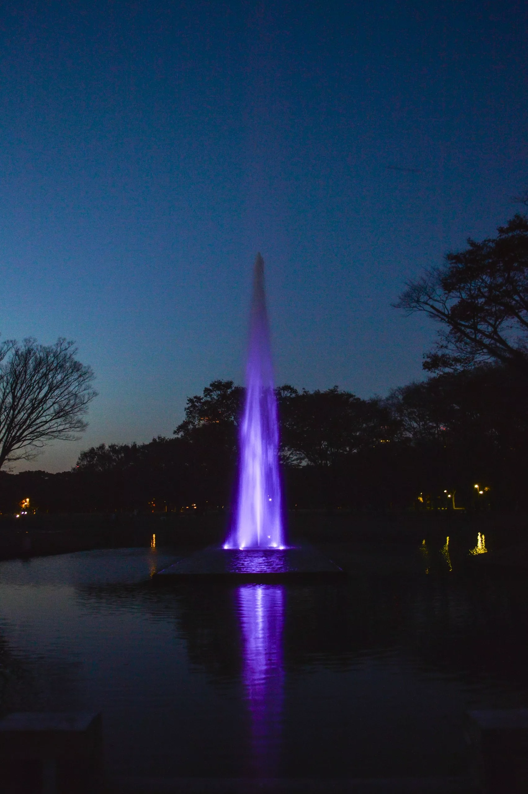 Une grande fontaine d'eau illuminée de lumières violettes jaillit d'un étang la nuit, son reflet scintillant - une scène qui rappelle les vues nocturnes époustouflantes que vous trouverez en explorant Que faire à Tokyo.